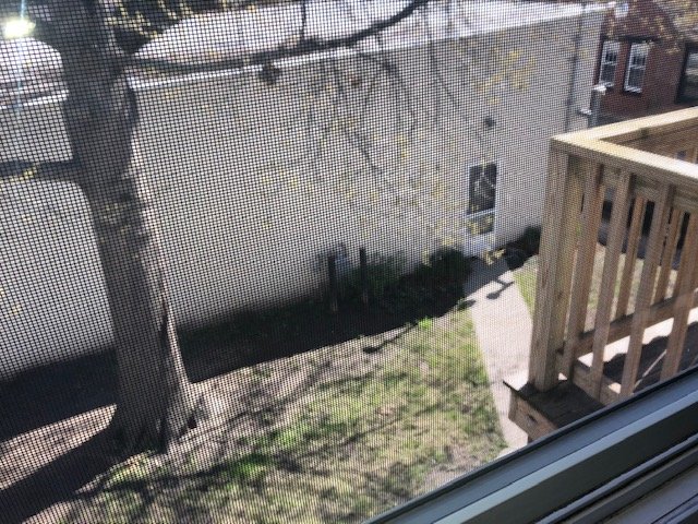 11 Locust Street - G property image